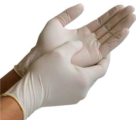 Glove Latex Powdered Disposable (100)